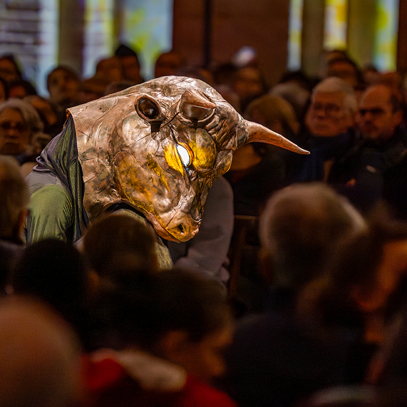 Toulouse coeur de lumieres spectacle 2025 12