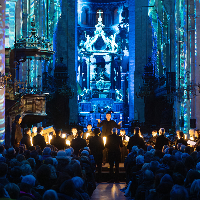 Toulouse coeur de lumieres spectacle 2025 18