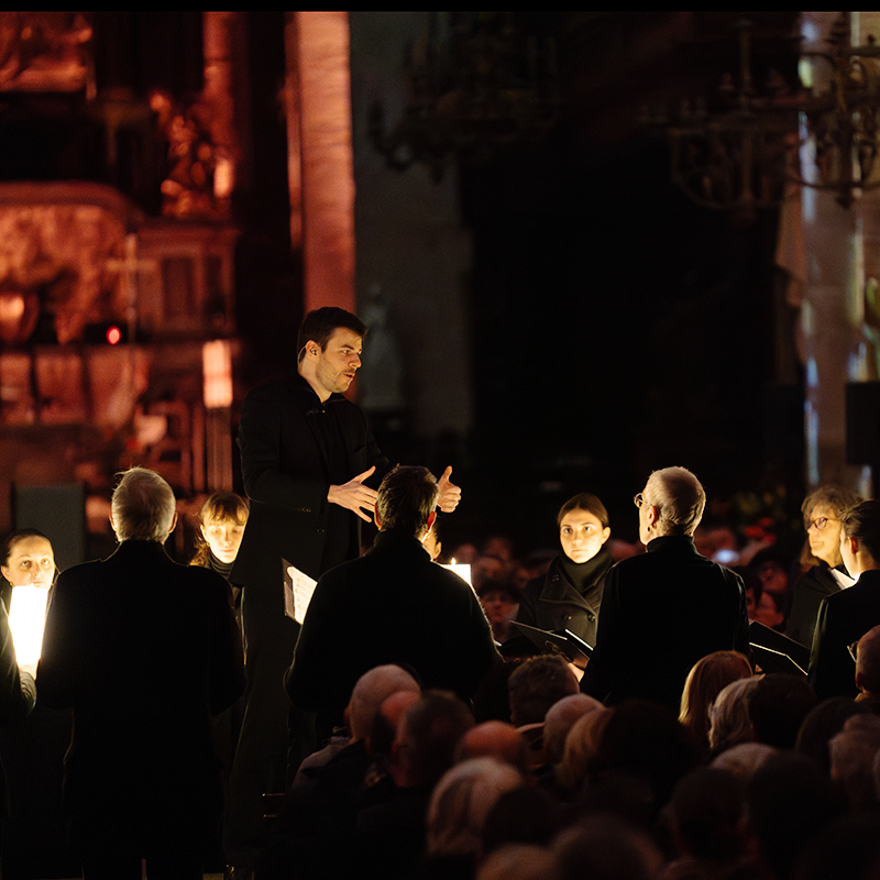 Toulouse coeur de lumieres spectacle 2025 22